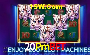 Experiência VIP 20Pmbet